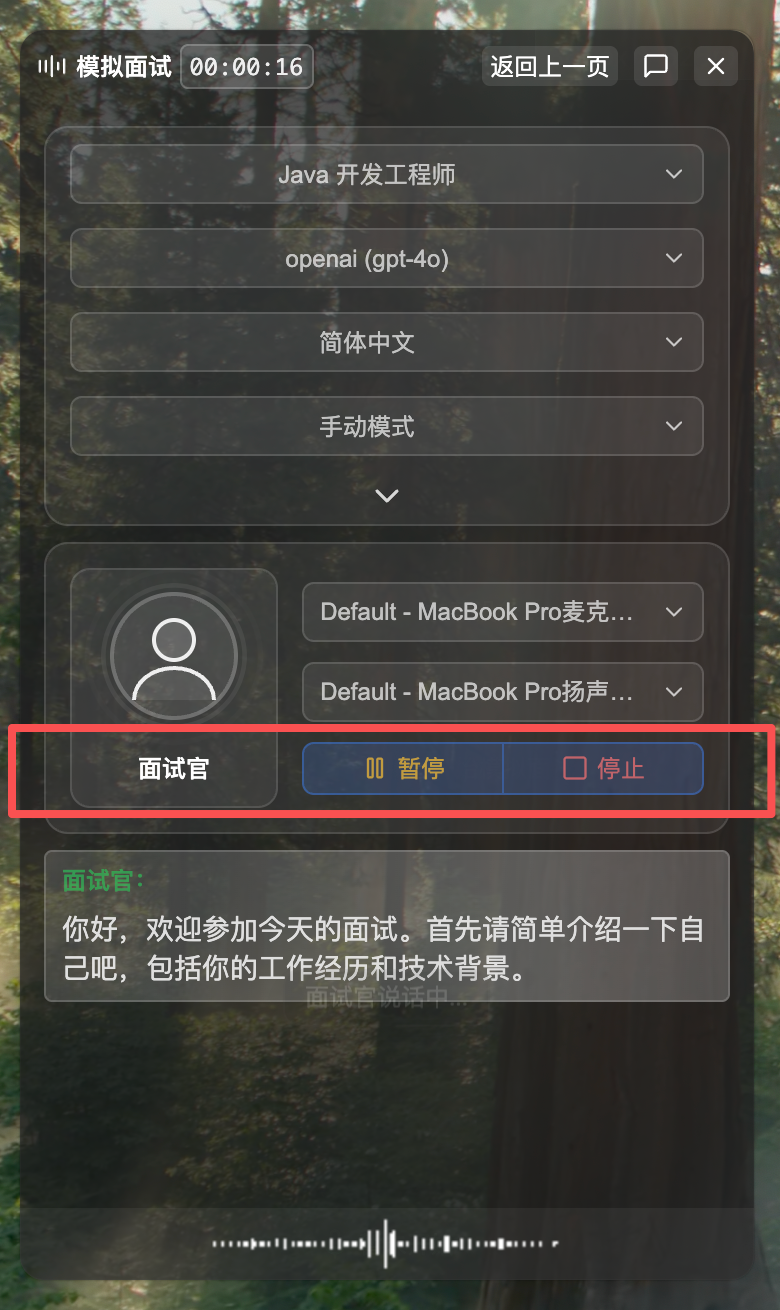 Left Window Pause Button