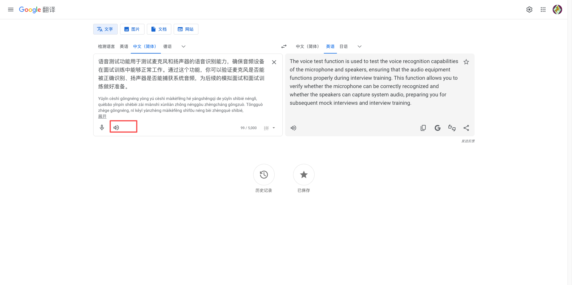 Google Translate Page