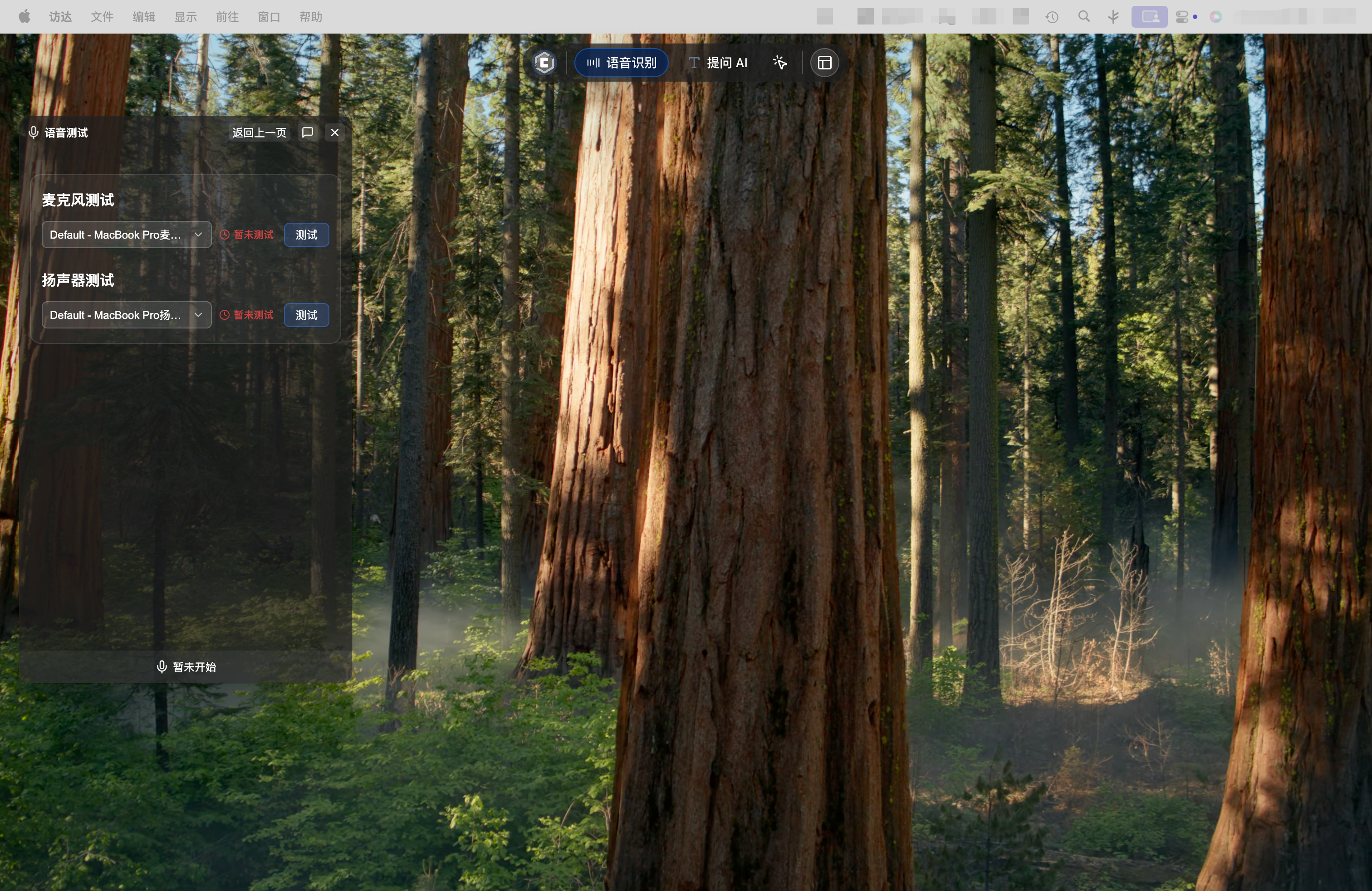 进入语音测试