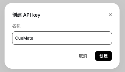 设置 API Key 信息